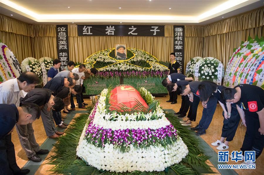 公牛与女人一级毛