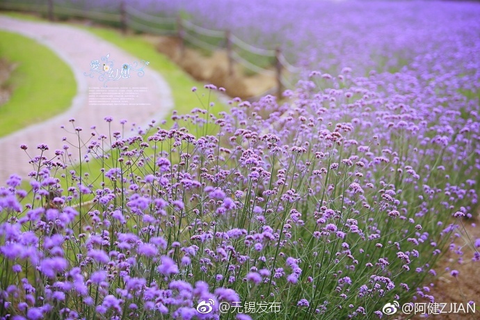无码人妻AⅤ一区二区三区玉蒲团