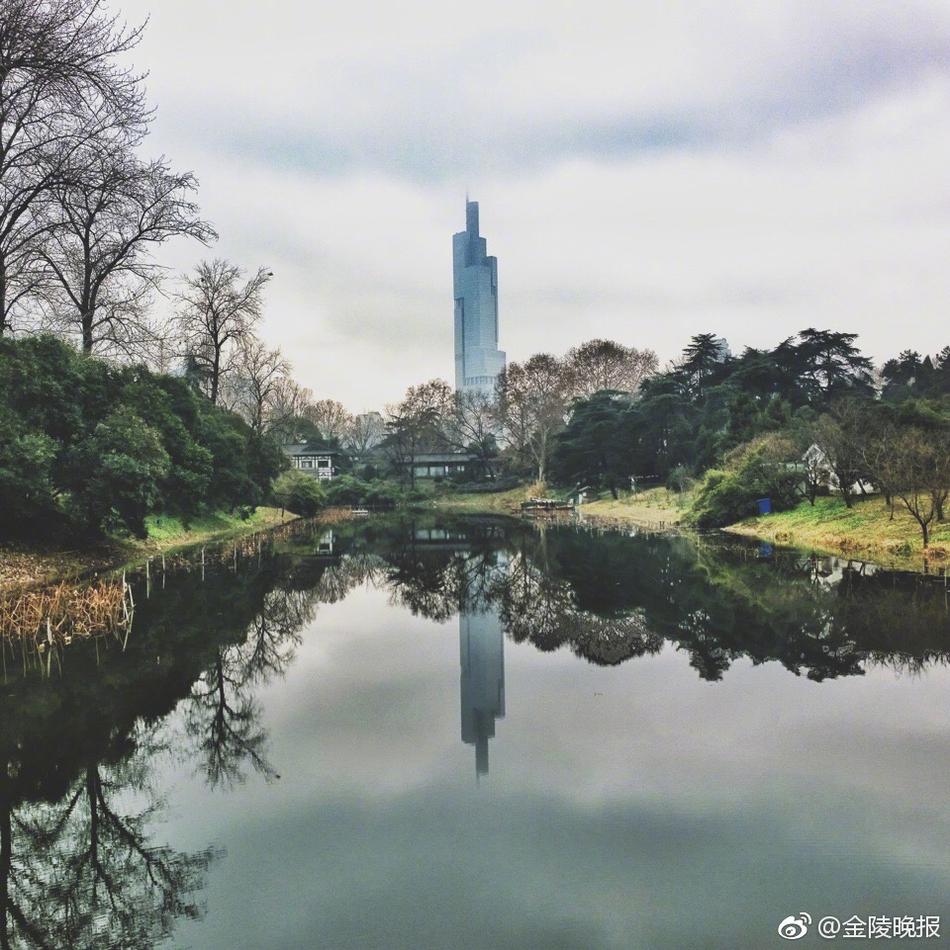 91黄色视频