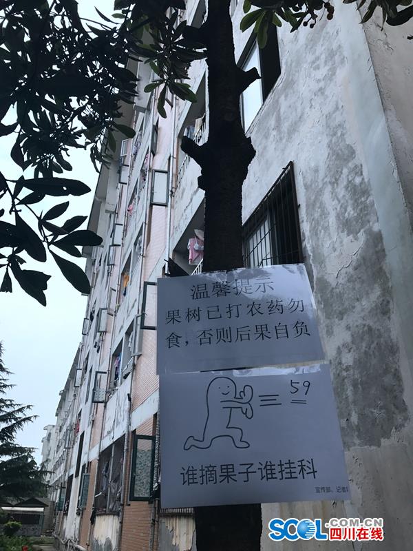 美女露岀奶头秘 无遮挡图片