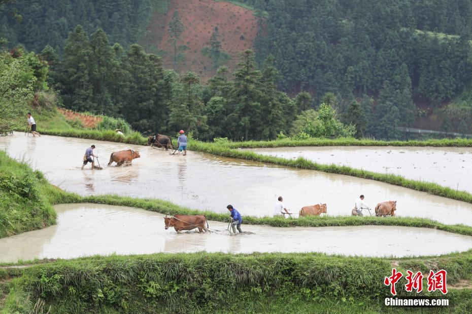 4438 全国情人免费网-百度