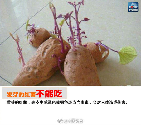 国产欧美一区二区