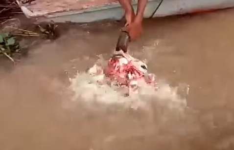 折原穗花