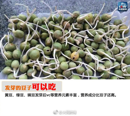 女人扒开腿婬乱A片
