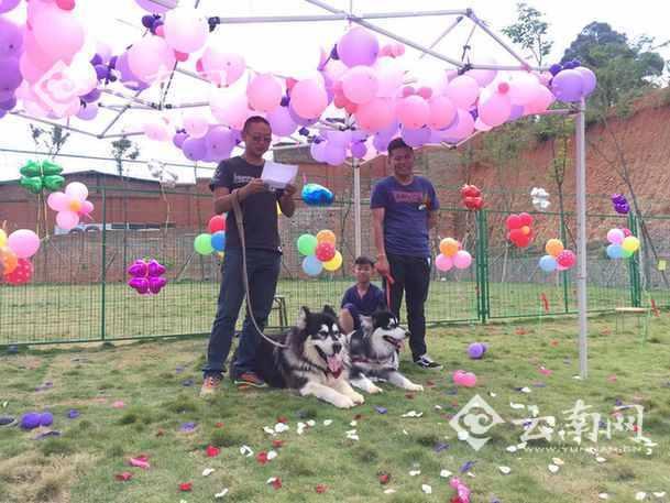 杨玉环性做爰A片