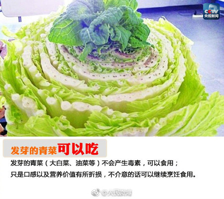 簧片在线免费一区