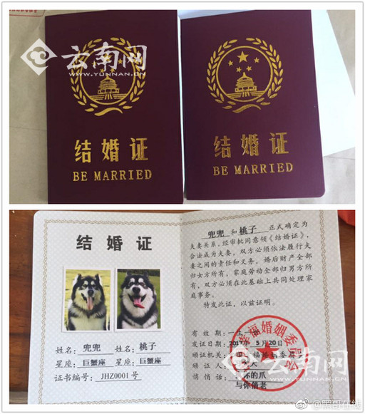 渡瀬晶