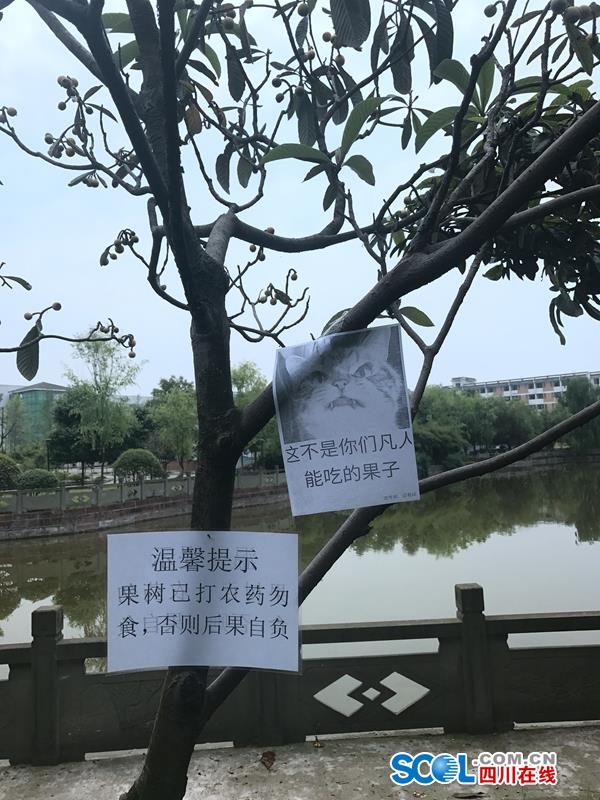 就去吻98