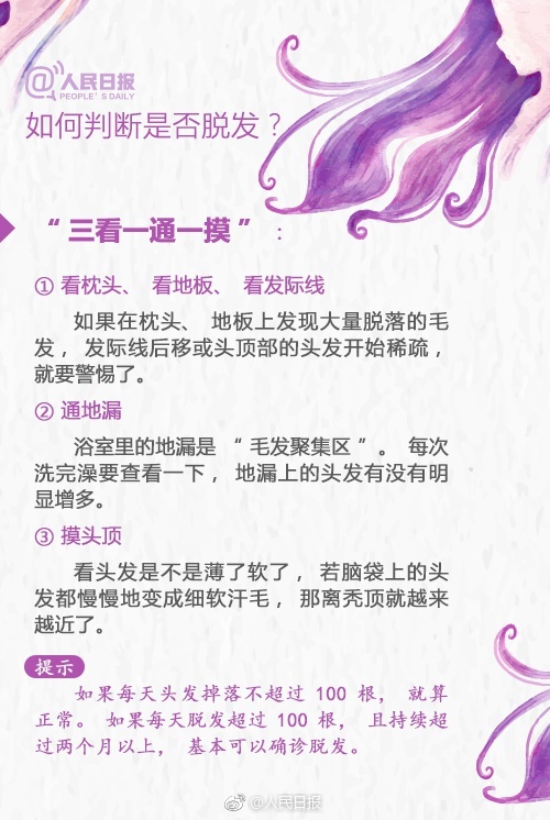 高清 黄 网