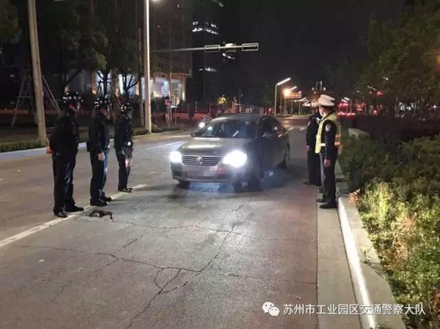 欧美艹逼