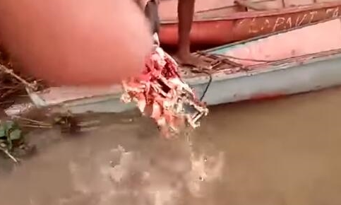 伪娘动漫