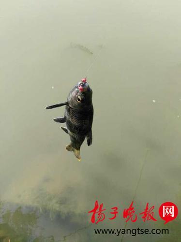 大地资源二中文在线播放官网