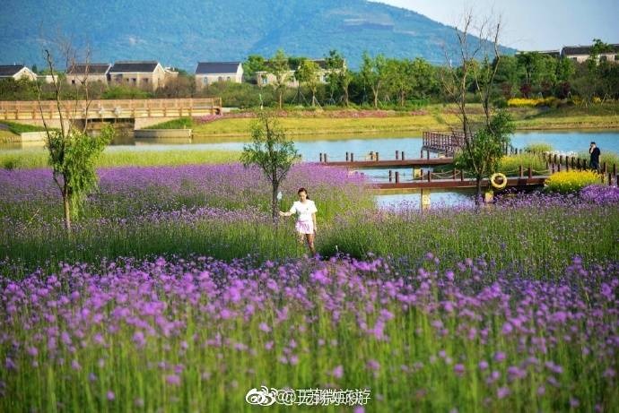莊惠如