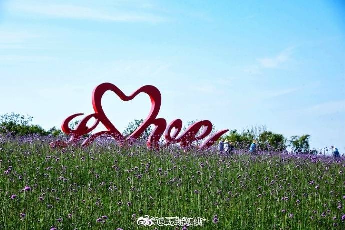 黃色一级A片一級片