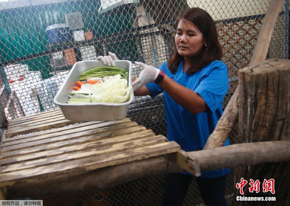 adc影视年龄确认实名认证欢迎大驾光临