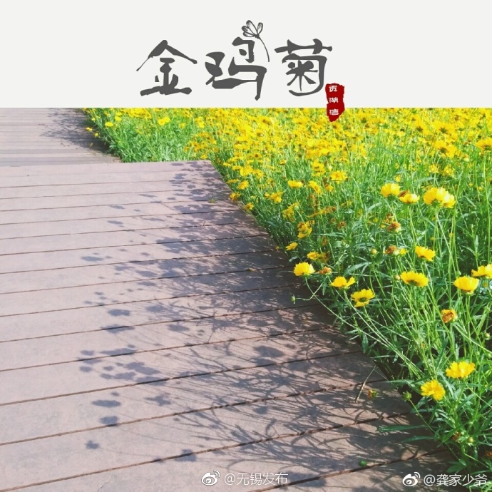 国产AV一区二区三区