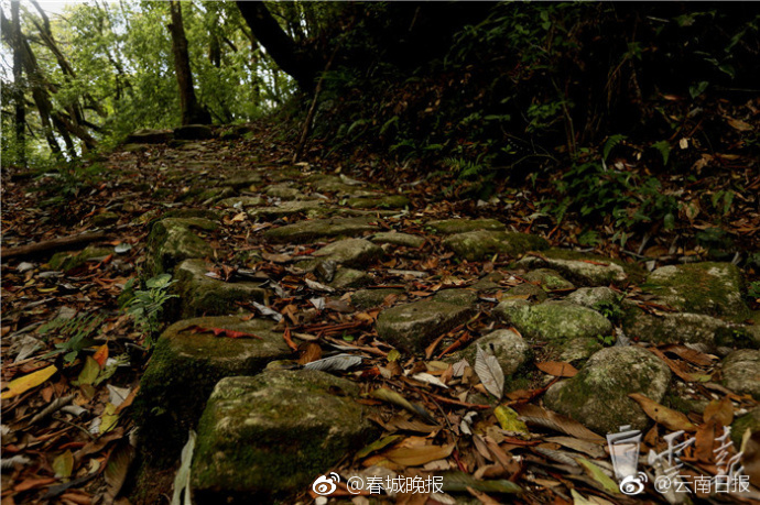 吉根