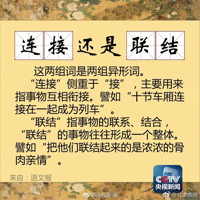 蘑菇视频版下载官网