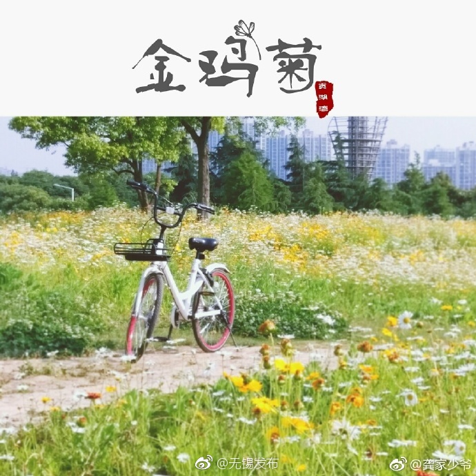 中文三级黄色片