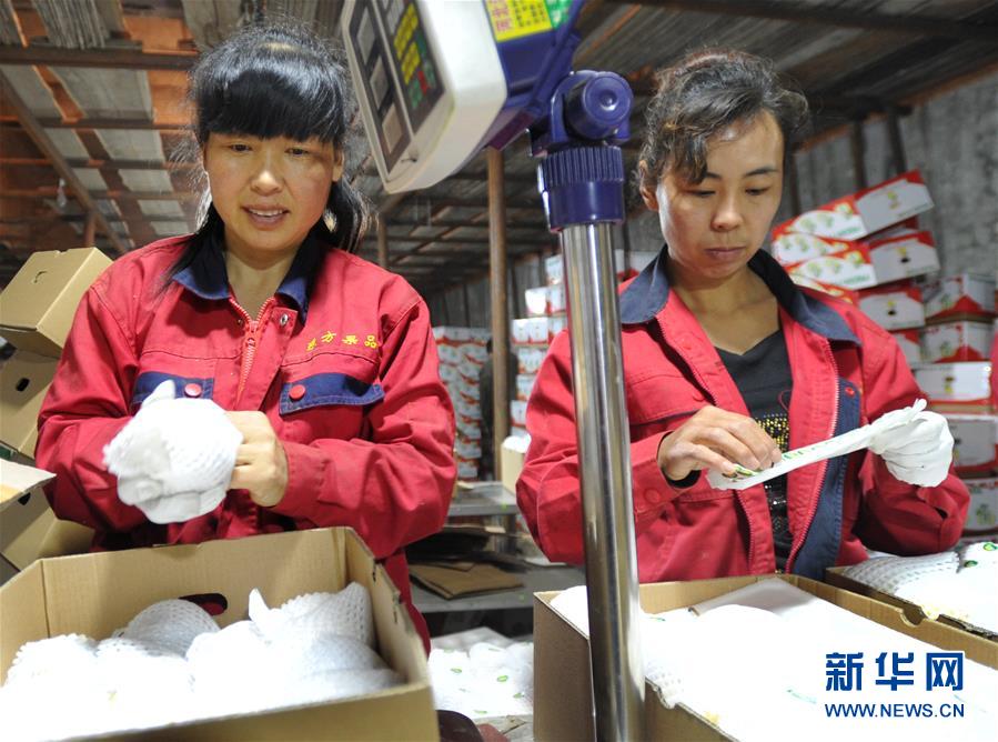 性爱视频网站