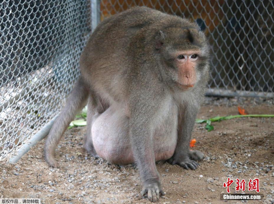 日本高清一区