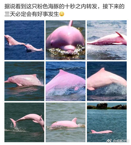 好色先生下载