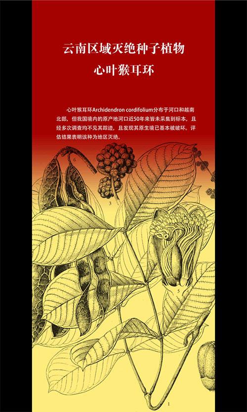 免费 成 人 黄 色 网站Pp