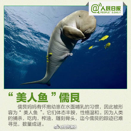 九九热精品