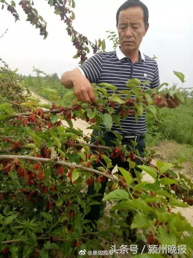 欧美人与物动XXXZZZZ