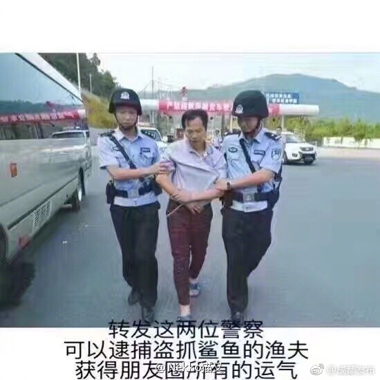 草逼软件