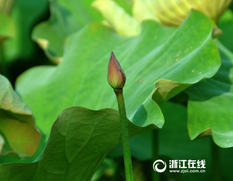被C过的最爽的一次