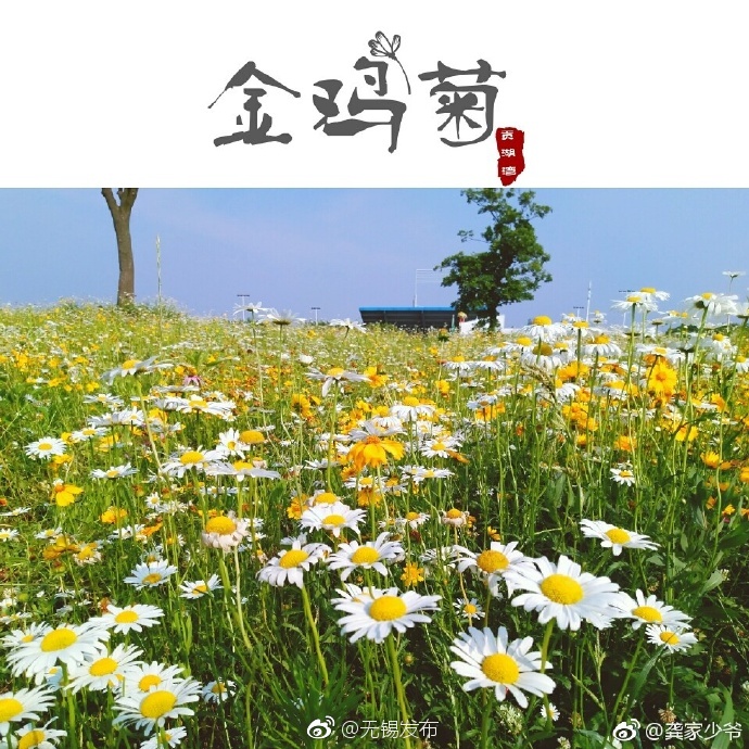 一区二区三区不卡视频