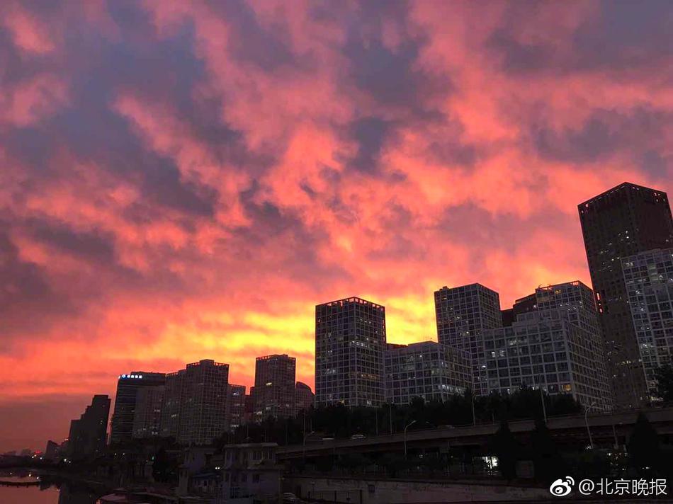 桐島秋子