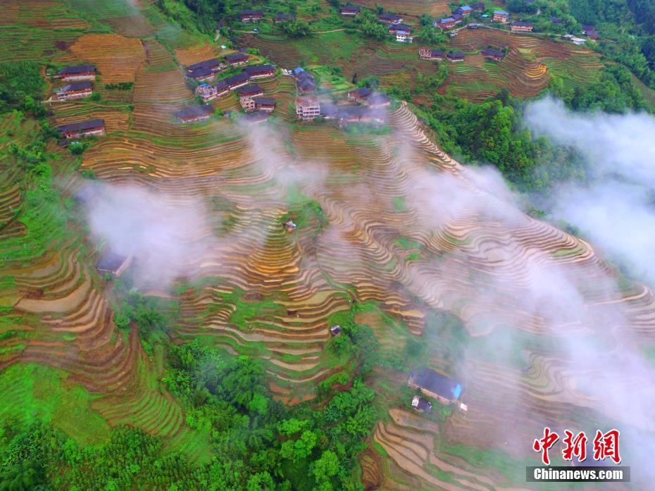 逍遥龙哥团队