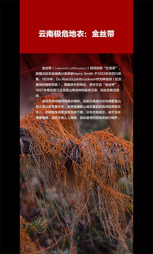 东京热成人版app下载