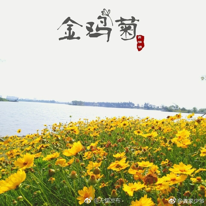 婷婷综合激情