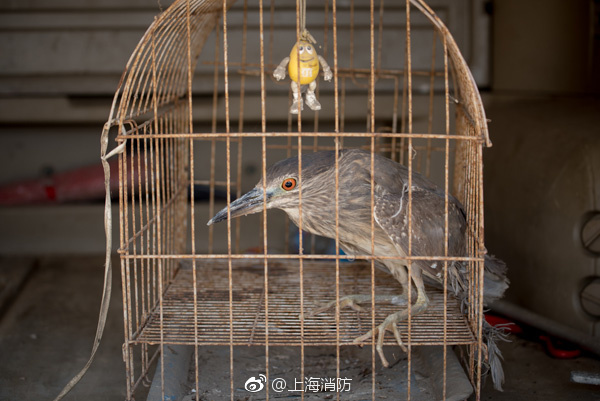 亚洲成色www成人网站妖精