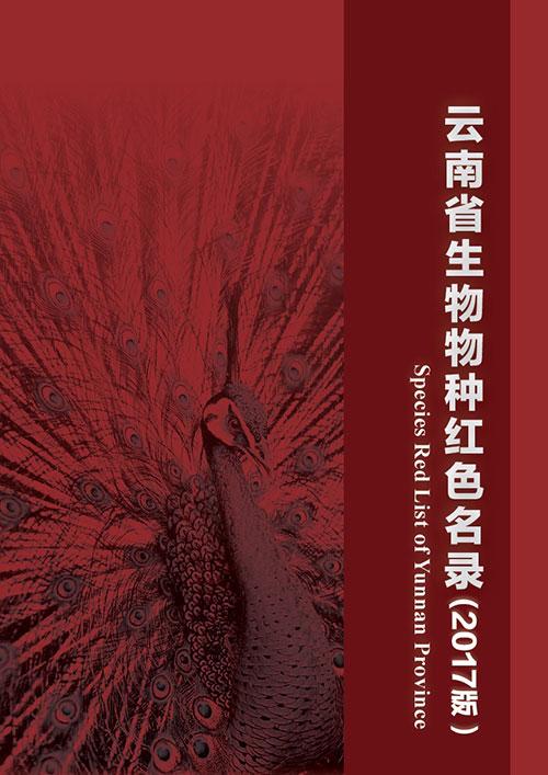 丰满岳伦69XxX
