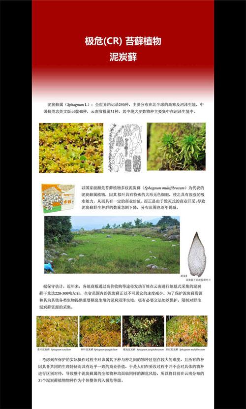 上班自慰