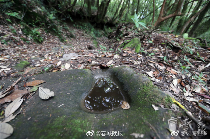 欧洲-级毛片内射八十老太婆