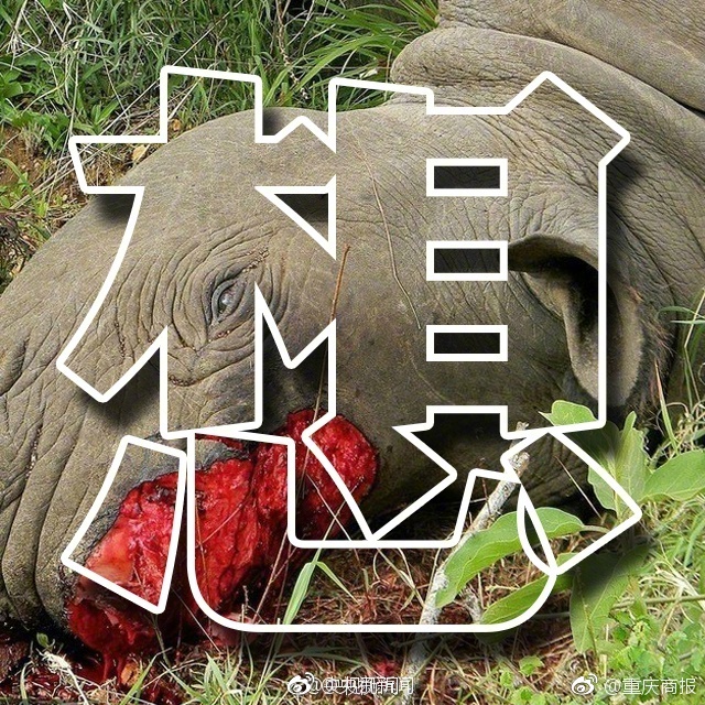 国产精品无码国模私拍视频