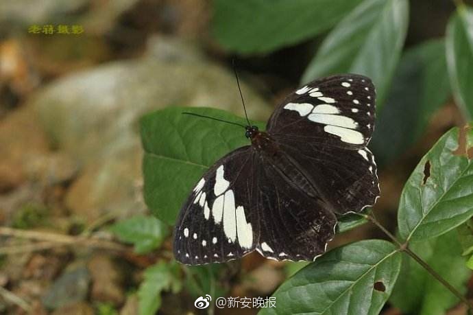 91狠狠色综合久久久夜色撩人