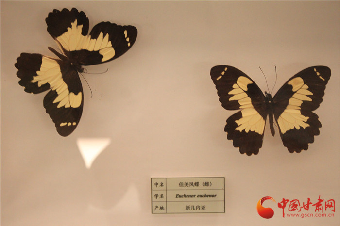 国产乡下三?片孕妇