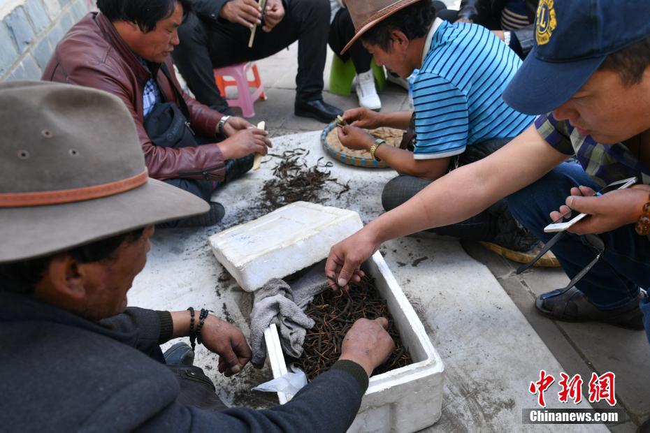 怡红院游戏黄化试玩