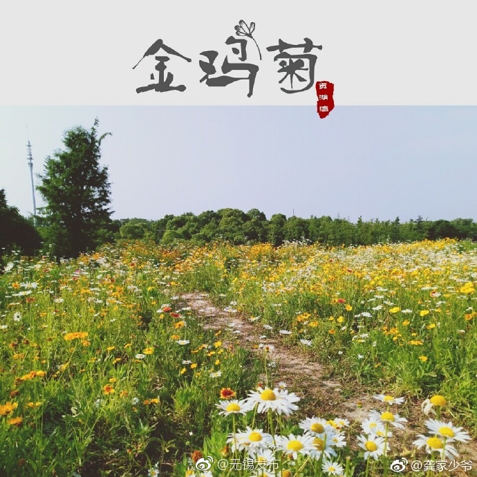 李思思色戒无删减版