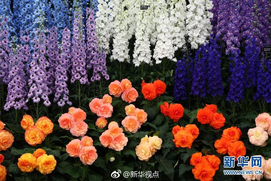 免费国精产品一二二三