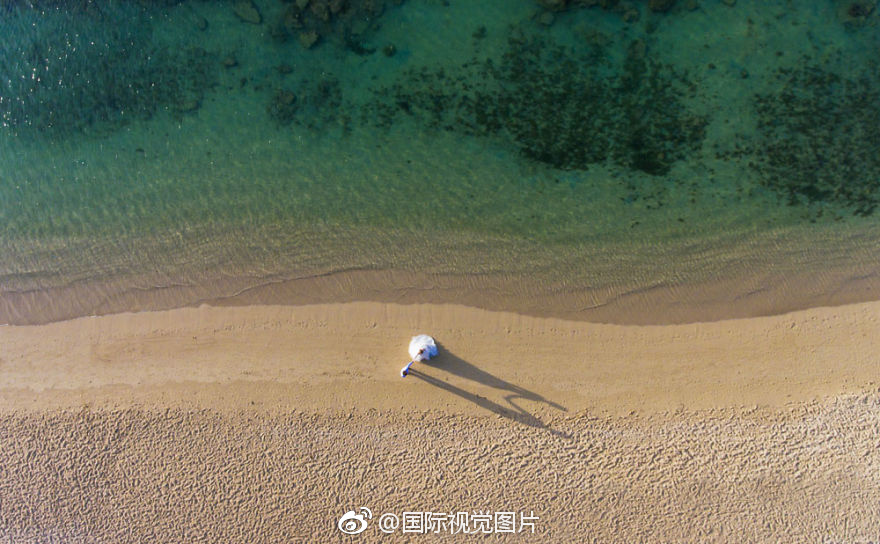 黄色网站 天天看三级片