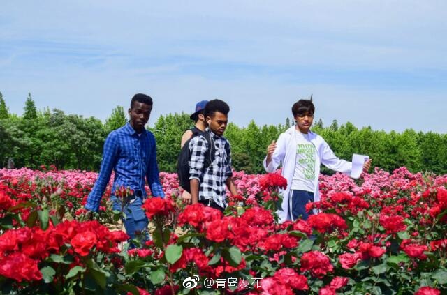 看个人有操逼的免费视频