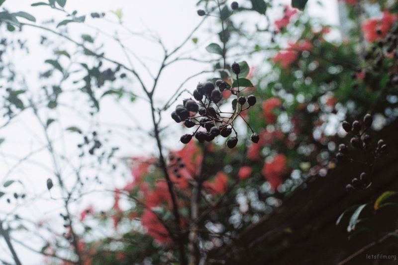 亚洲乱伦无码高清