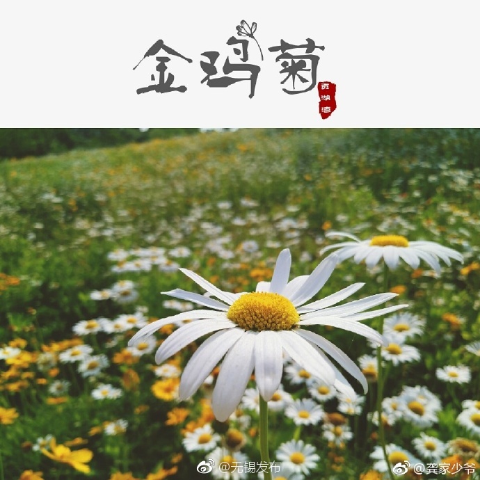欧性美掹交ⅩⅩⅩXXX